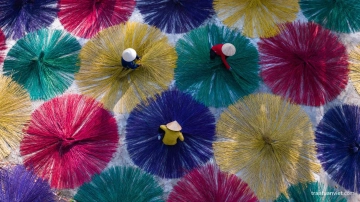 Drying Colorful Sedges