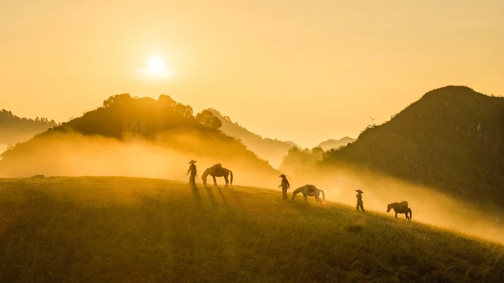 Ba Quang Vinh Quy Hill
