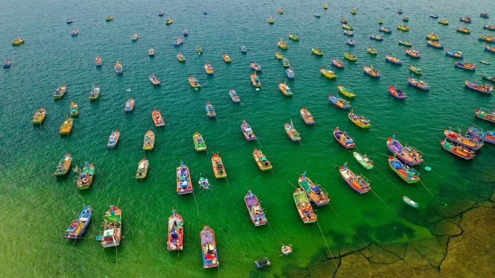 Boat Harbor
