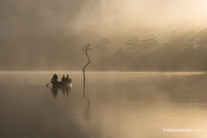 Boat Sailing In Da Lat