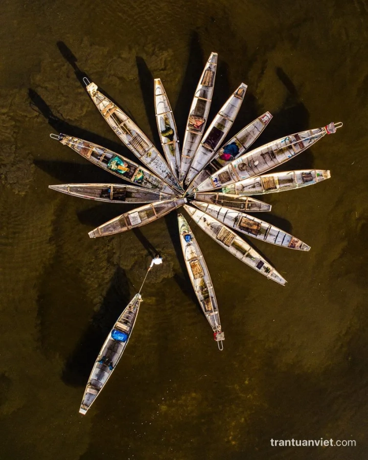 Flower boat, VN006