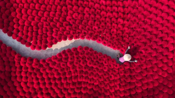 Hanoi Incense Village Photo Tour