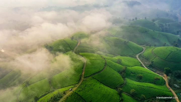 Mu Cang Chai - Slide 2