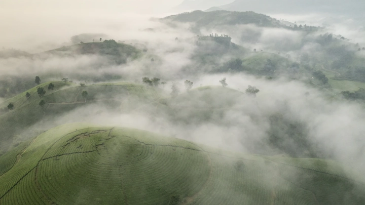 Mu Cang Chai - Slide 5