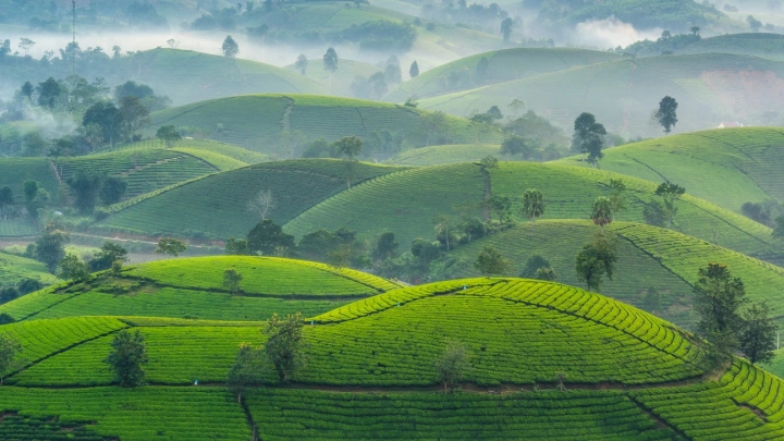 Mu Cang Chai - Slide 1