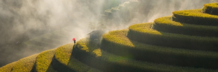 Vietnam Autumn Photo Tour Workshop