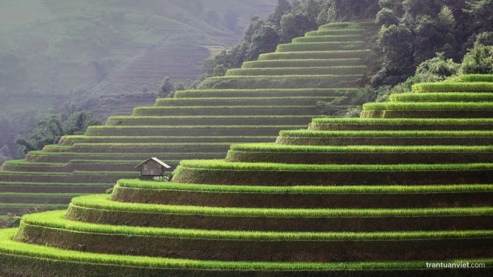 Mu Cang Chai - Slide 3