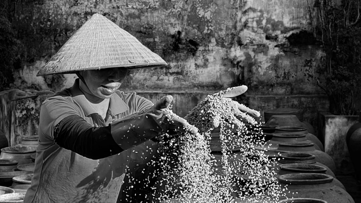 Soy Sauce Village Daily Photo Tour