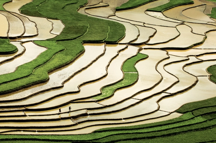 Mu Cang Chai - Slide 4