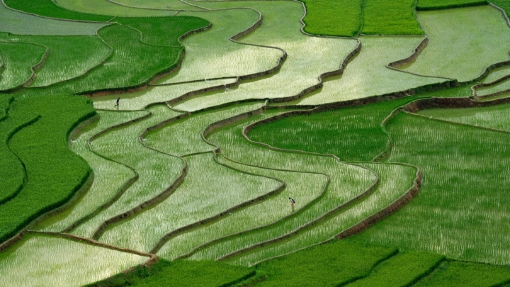 Mu Cang Chai - Slide 4