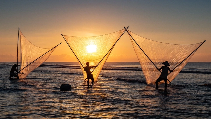 V-Shape Net