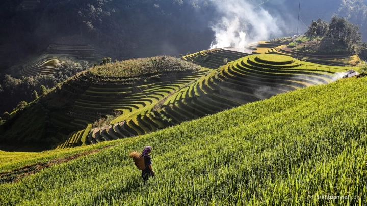 Mu Cang Chai - Slide 3