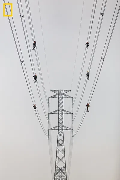 Balance, NG011
