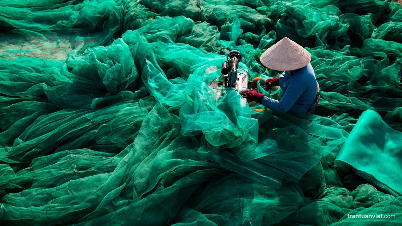 Sewing net in Ninh Thuan