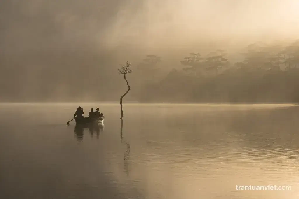 Sunrise fog in Da Lat, NG104