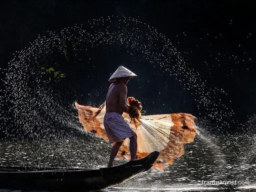 Throwing net, VN003