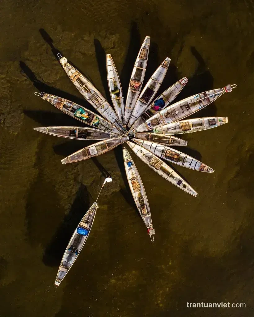 Flower boat, VN006