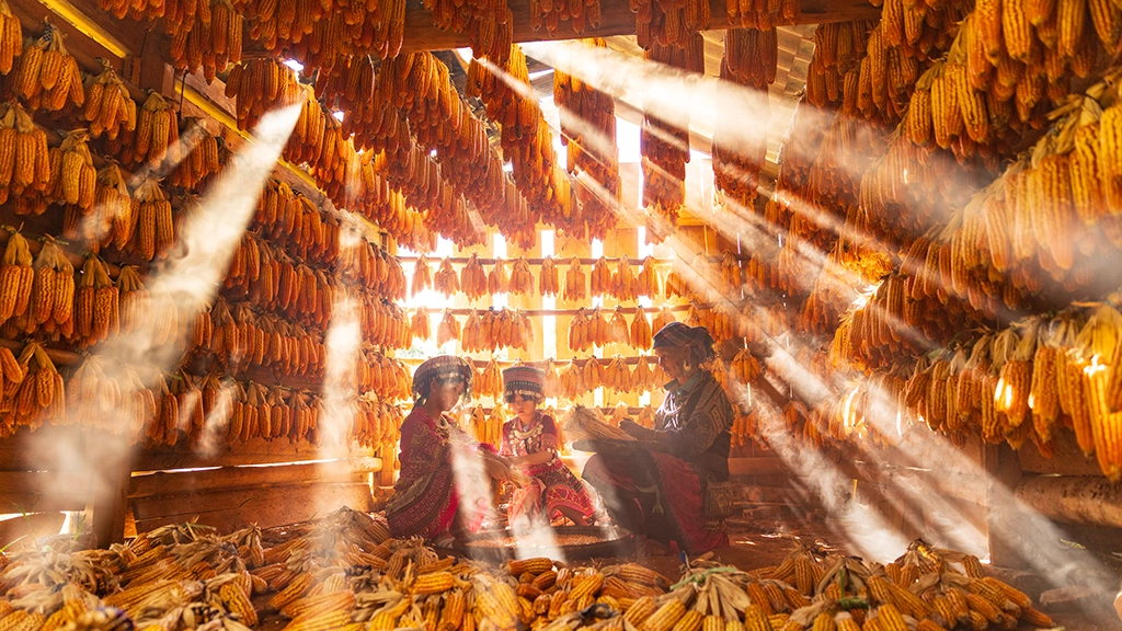 Hmong Corn House With Light Beam