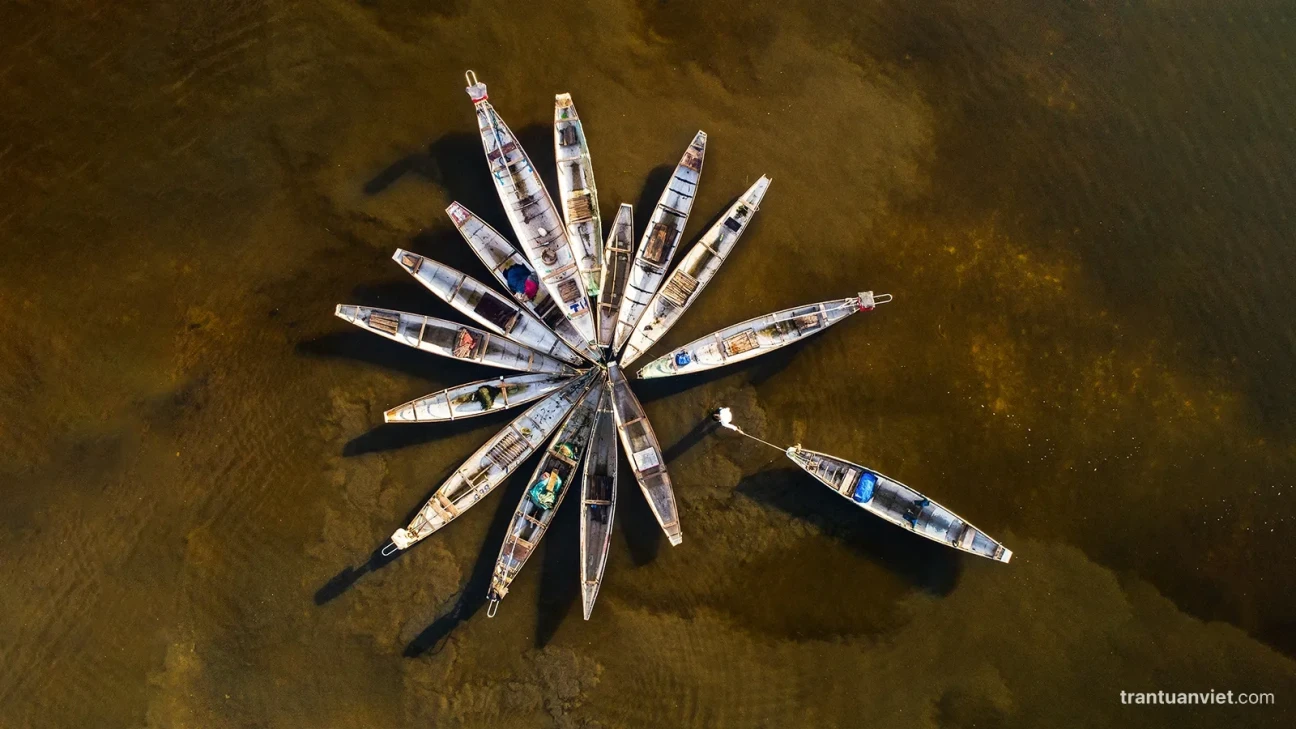 Flower boats conceptual photography