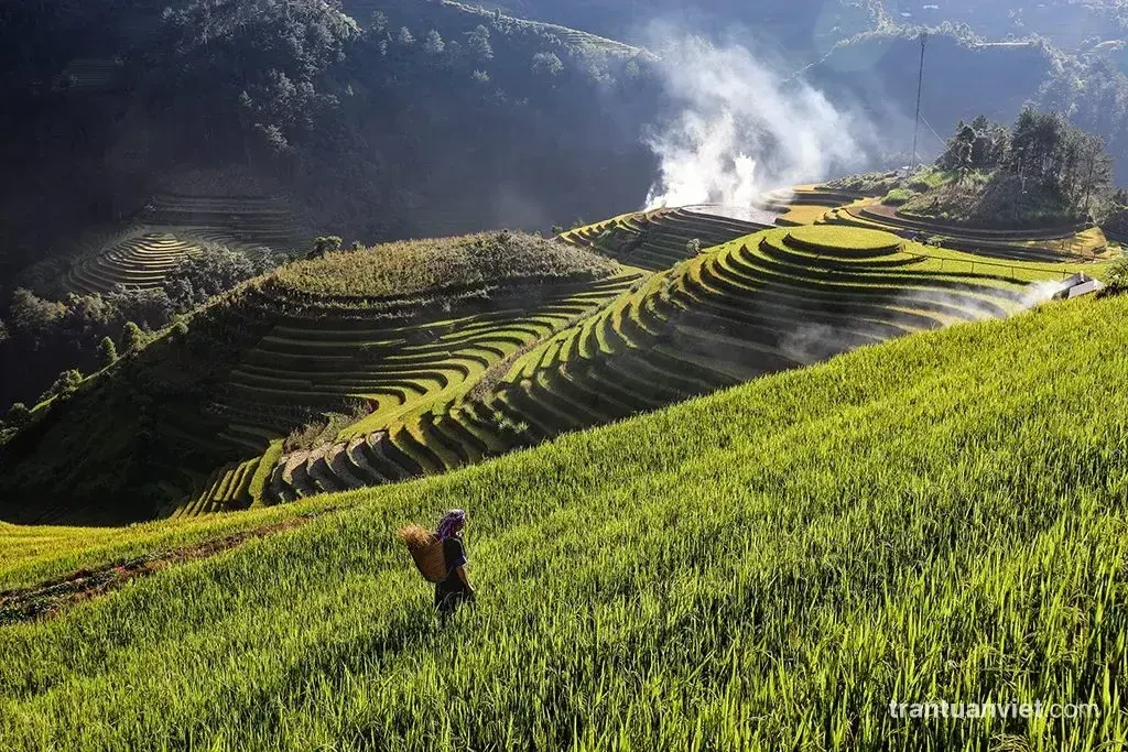 Mam Xoi in Mu Cang Chai, VN009