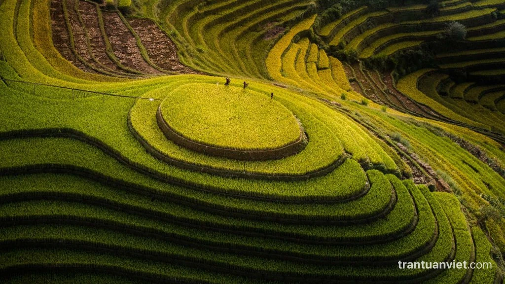 Mu Cang Chai Photo Tour