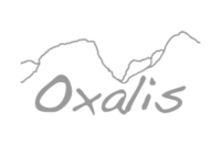 Oxalis Adventure