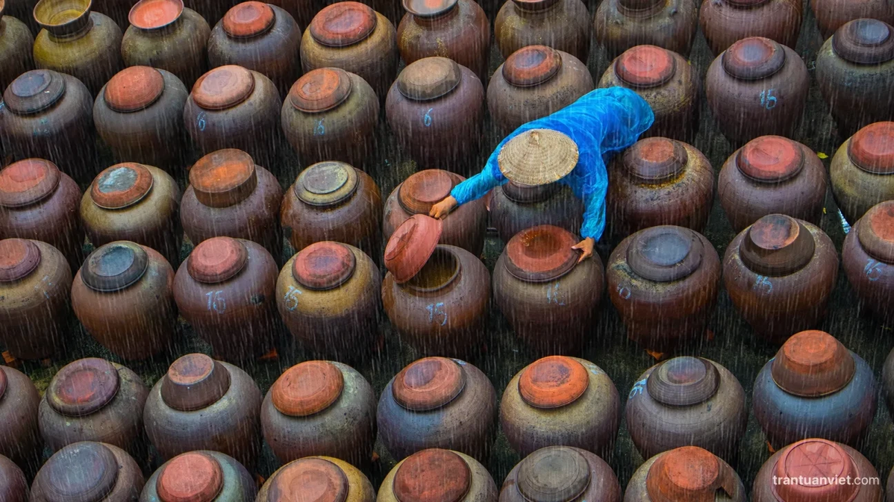 Soya sauce farmer