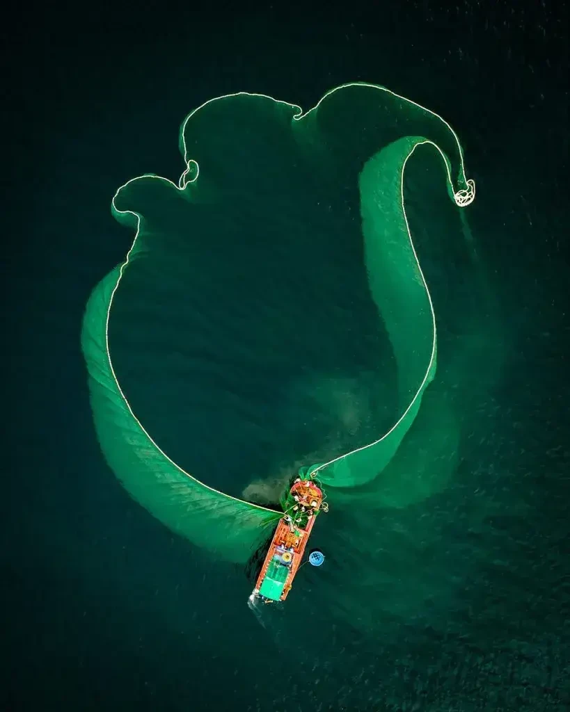 Flower on the sea, VN017