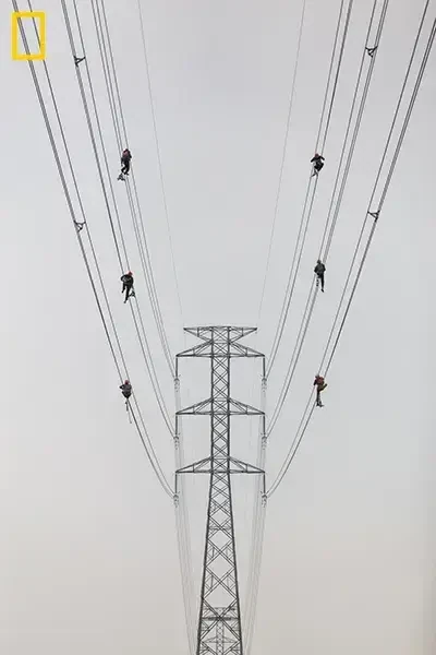 Balance, NG011
