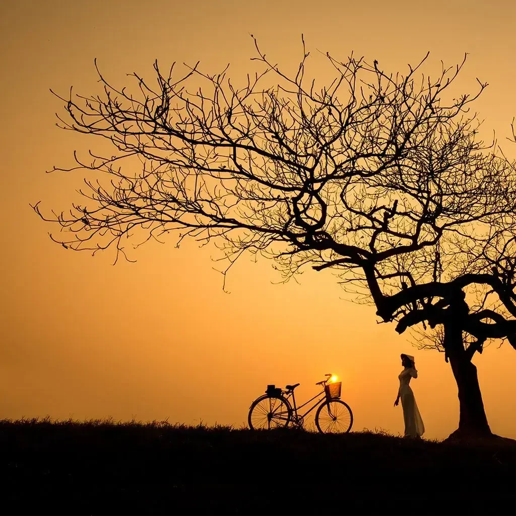 Waiting at dusk, VN029