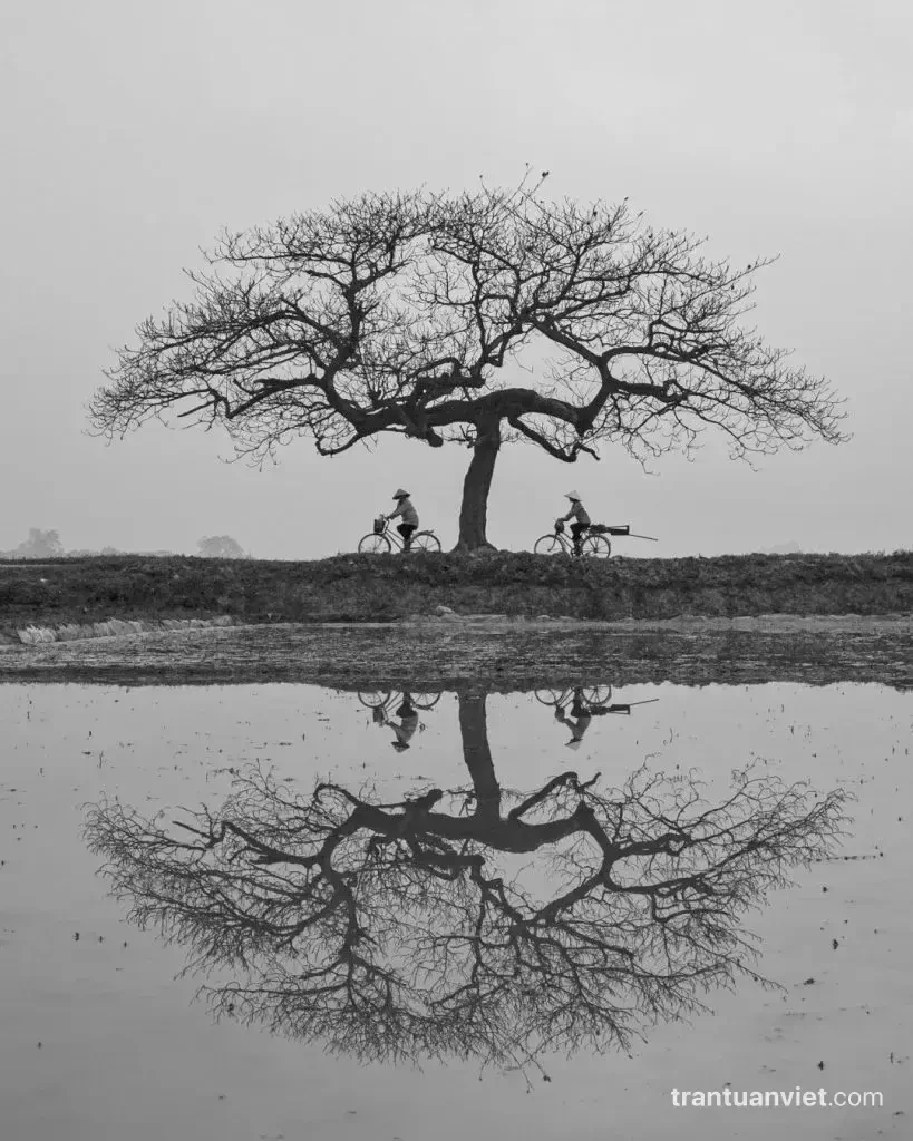 Farmers by the leafless tree, NG100