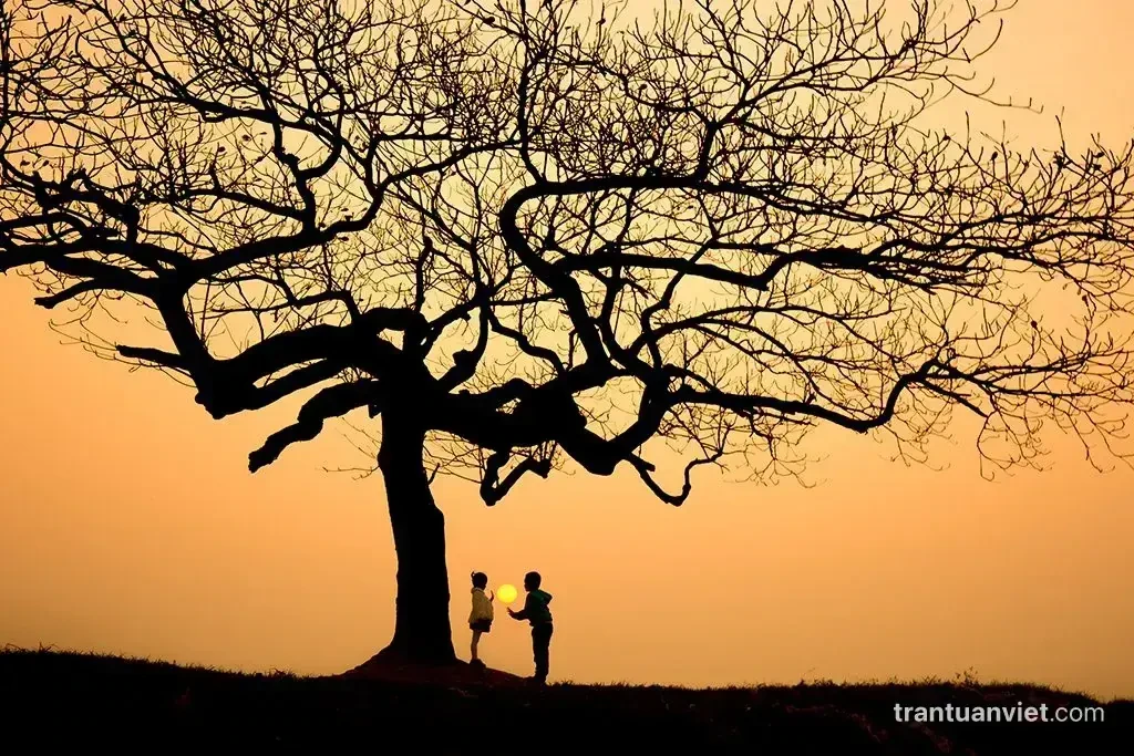 Children by the leafless tree, VN004