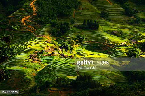 Read more about the article Mu Cang Chai Photo Tour | Northern Vietnam